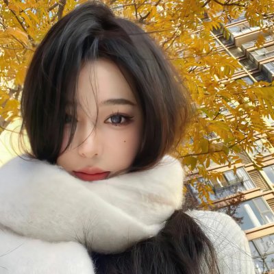 三个火枪手:达达尼昂